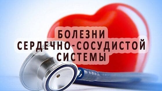 сердечно-сосудистая система